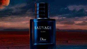 Dior Sauvage Bargello kodu