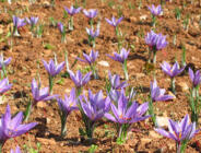 Kazancını arttırdı