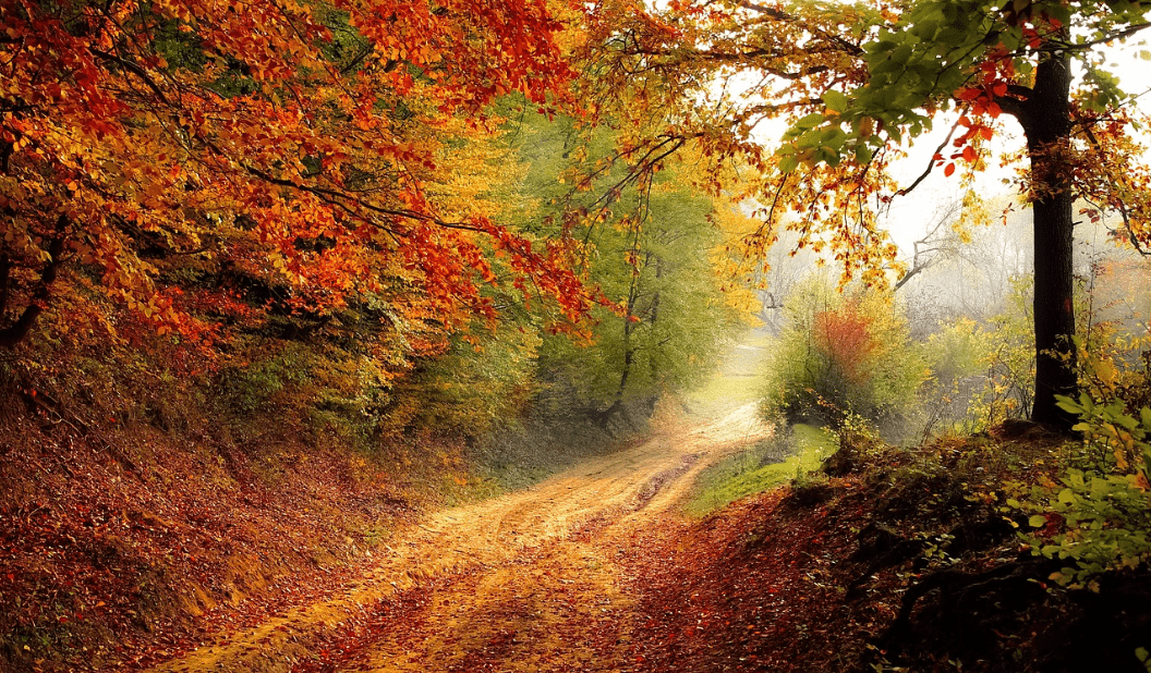 Turistik İlçeler